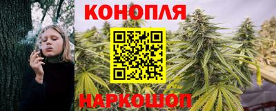 прущие грибы Конаково