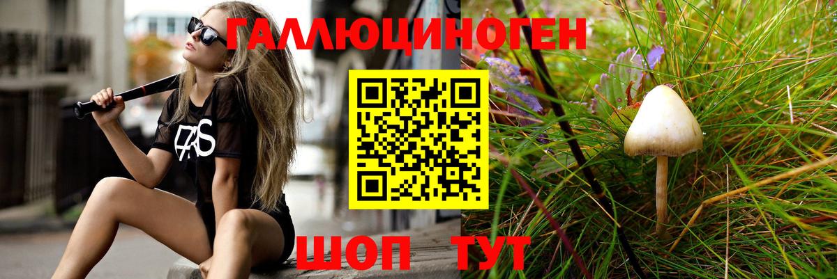 Псилоцибиновые грибы прущие грибы Бузулук